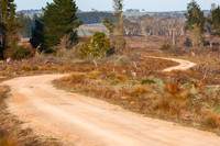 AMSAG MONARO RALLY