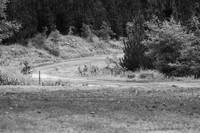 AMSAG MINI EDEN RALLY